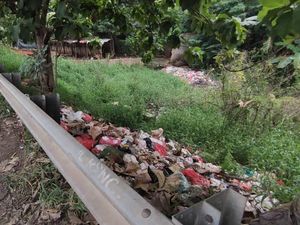 Pinggir Jalan Akses Tol JORR Kalimalang Bekasi Pun Penuh Sampah Pinggir Jalan Akses Tol JORR Kalimalang Bekasi Pun Penuh Sampah