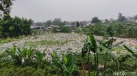 Potret Tumpukan Sampah Seluas Lapangan Bola di Pinggir JORR Bekasi