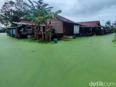 Penampakan Banjir Berwarna Hijau di Pekalongan