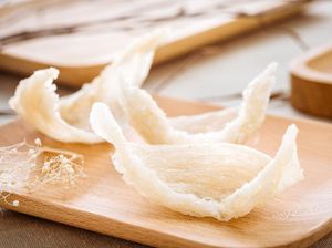 Sarang Burung Walet Jadi Harta Karun RI Bernilai Rp 500 T