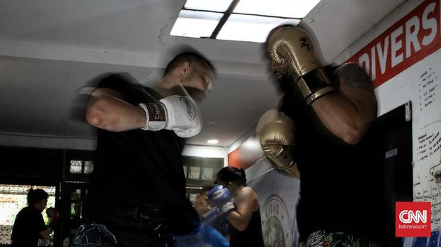 galfot MMA Inandya Citra Theo (Theodorus Ginting) sang juara One Pride MMA membentuk fight team ini dengan tujuan membantu para fighter MMA maupun pemuda pemudi berbakat yang ingin menjadi fighter MMA untuk mengembangkan bakat mereka dengan serangkaian program latihan yang telah mereka sepakati bersama. CNN Indonesia/Andry Novelino