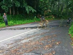 Jalan Ambles dan Pohon Tumbang Timpa Rumah di Ciamis
