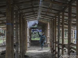 Kandang Ternak Pengungsi Gunung Merapi Disemprot Disinfektan Kandang Ternak Pengungsi Gunung Merapi Disemprot Disinfektan