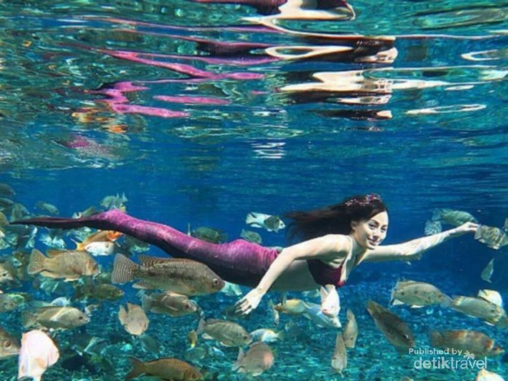 Pengalaman Magang di Umbul Ponggok yang Tak Terlupakan Pengalaman Magang di Umbul Ponggok yang Tak Terlupakan