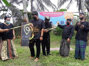 Masyarakat Adat Osing Dirikan Pesinauan Bagi Generasi Muda Masyarakat Adat Osing Dirikan Pesinauan Bagi Generasi Muda