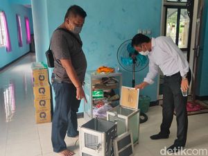 Aksinya Terekam CCTV, Pencuri Kotak Amal Masjid di Jember Tertangkap Aksinya Terekam CCTV, Pencuri Kotak Amal Masjid di Jember Tertangkap