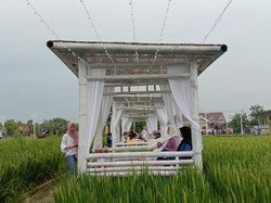 Alam Banget, Kudus Punya Resto Keren di Tengah Sawah