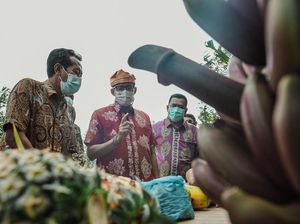 Desa Wisata Digenjot, Ini Bentuk Program Bantuan dari Pemerintah