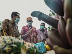 Desa Wisata Digenjot, Ini Bentuk Program Bantuan dari Pemerintah