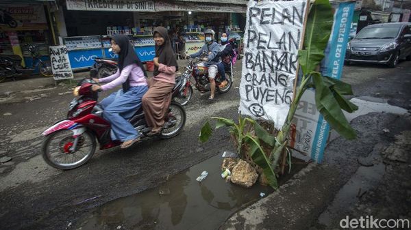 Spanduk Lucu Hingga Pohon Pisang Sindir Jalan Rusak di Bogor