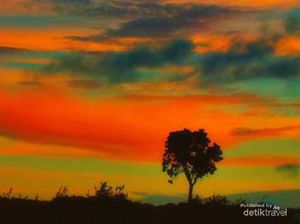 NTT Tak Cuma Komodo, Ada Timor Tengah Selatan yang Mempesona