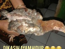 Jabar Hari Ini: Heboh Bansos Ayam Hidup-Jasa Pikul Jenazah COVID-19 Jutaan Rupiah