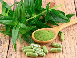 Yuk Kenalan dengan Sambiloto, Herbal Antivirus yang Lagi Naik Daun!