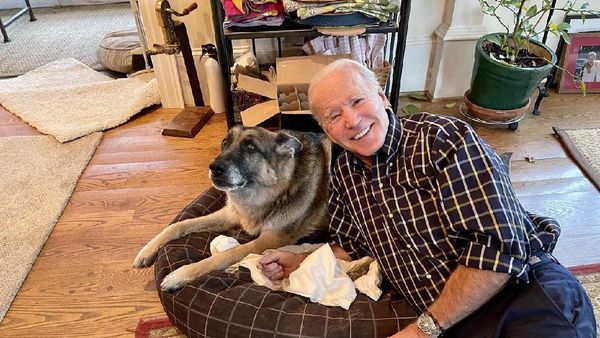 Momen Anjing Peliharaan Joe Biden Pindah ke Gedung Putih