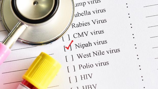 ilustrasi nipah virus