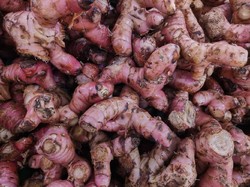 10 Manfaat Jahe Merah, Rimpang Ajaib yang Bisa Atasi Penyakit Ini