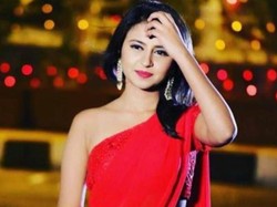 Bintang Bollywood Jayashree Ramaiah Diduga Bunuh Diri di Rumah