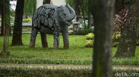 Kasihan, Gajah Ini jadi Korban Vandalisme
