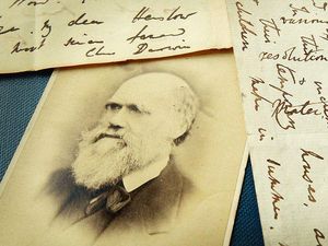 Hari Evolusi 24 November 2022, Mengingat Kembali Teori Darwin Hari Evolusi 24 November 2022, Mengingat Kembali Teori Darwin