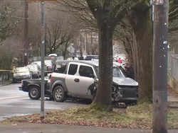 Ini Mobil yang Seruduk Pejalan Kaki di AS