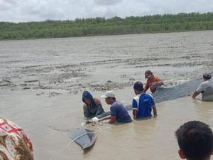 Paus Terdampar di Dekat Sungai di Sumsel, Warga Coba Evakuasi ke Laut