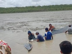 Paus Terdampar di Dekat Sungai di Sumsel, Warga Coba Evakuasi ke Laut