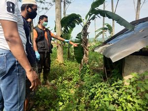 Mayat Wanita Berdaster Ditemukan Tergeletak di Gubuk Sawah Purbalingga