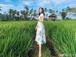 Sawah Mangaran Spot Instagramable Baru di Banyuwangi Serasa di Ubud Bali