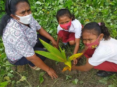 Siswa SD di NTT Lakukan Penghijauan Sejak Dini
