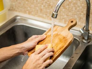 Sink: Pengertian, Fitur, Jenis dan Faktor Sink: Pengertian, Fitur, Jenis dan Faktor