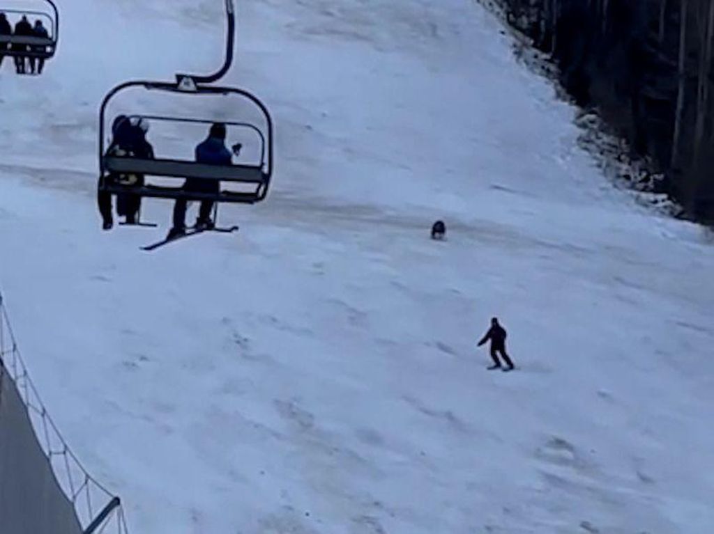 Oh Tidak, Lagi Asyik Main Ski Eh Dikejar Beruang