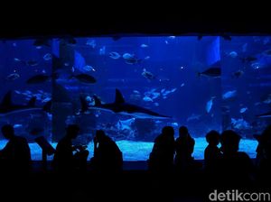 Musim Hujan, Ini 5 Ide Kencan Untukmu Bersama Pasangan