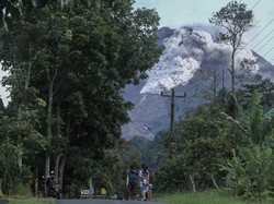 Endapan Material Awan Panas Gunung Merapi Capai 262 Ribu Meter Kubik