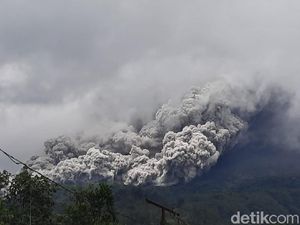 Gunung Merapi Luncurkan 25 Kali Guguran Lava Pijar dalam 12 Jam Gunung Merapi Luncurkan 25 Kali Guguran Lava Pijar dalam 12 Jam