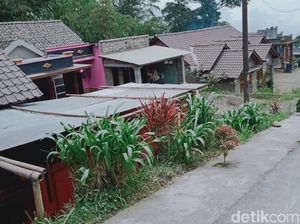 Gunung Merapi Erupsi, Klaten Diguyur Hujan Abu dan Pasir