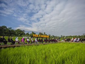 Yuk Tanam Padi dan Selfie Tengah Sawah di Kampung Ciharashas Bogor