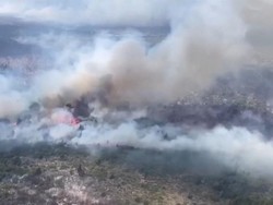 Kebakaran Hutan di Argentina, Ratusan Rumah Terbakar