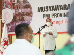 Lawan COVID-19, PMI Banten Optimalkan Plasma Konvalesen