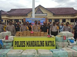 Polisi Tangkap 3 Orang Terkait Narkoba di Madina, 570 Kg Ganja Disita