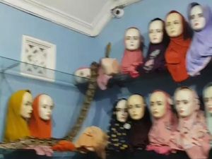 Ular Piton Gerayangi Manekin Toko Jilbab di Blitar Ular Piton Gerayangi Manekin Toko Jilbab di Blitar