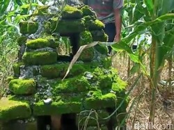 Batu Bata Kuno di Situs Makam Ibu Gajah Mada Diperkirakan dari Masa Majapahit