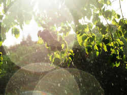 5 Cara agar Tetap Sehat Saat Cuaca Tidak Menentu