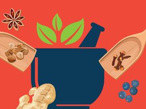 Khasiat Kesehatan Berbagai Jenis Daun dari Kelor hingga Alpukat Khasiat Kesehatan Berbagai Jenis Daun dari Kelor hingga Alpukat
