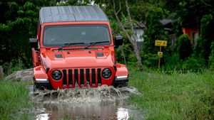 Saat Jeep Wrangler Rubicon Rp 1,708 Miliar Diajak Main Tanah