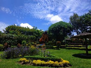 Foto: Spot Cantik untuk Pecinta Anggrek di Kediri Foto: Spot Cantik untuk Pecinta Anggrek di Kediri
