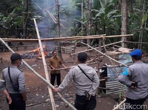 Diduga Bocor, Penggerebekan Judi Sabung Ayam di Banyuwangi Nihil Tangkapan