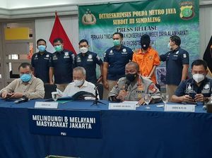 Polda Metro Tangkap Penjual Hewan Langka di FB, Orang Utan-Lutung Disita