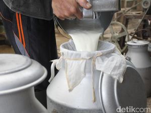 Antusias Warga Tasikmalaya Berburu Susu Murni