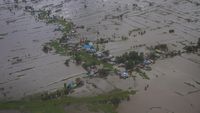48 Ribu Ha Sawah di Kalsel Terendam Banjir