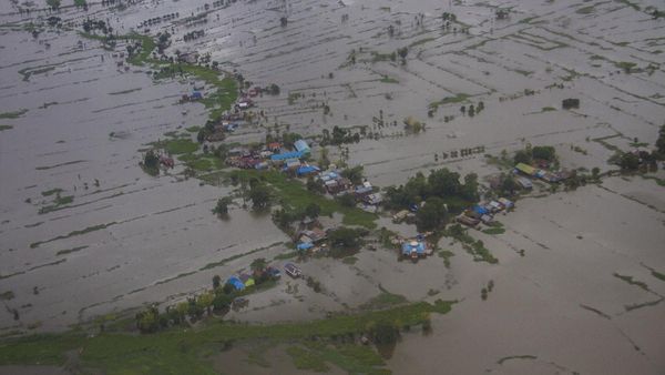 48 Ribu Ha Sawah di Kalsel Terendam Banjir